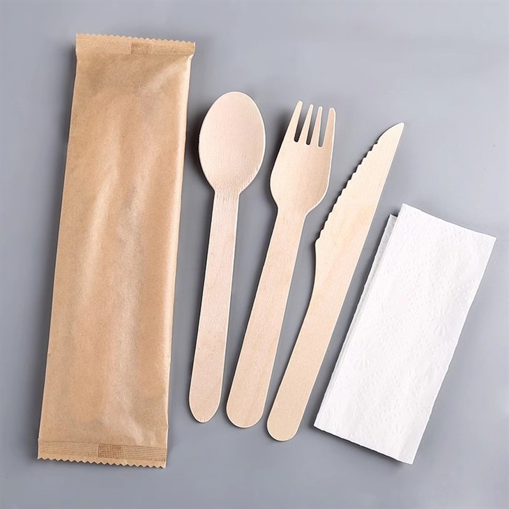 Cutlery Kits Disposable